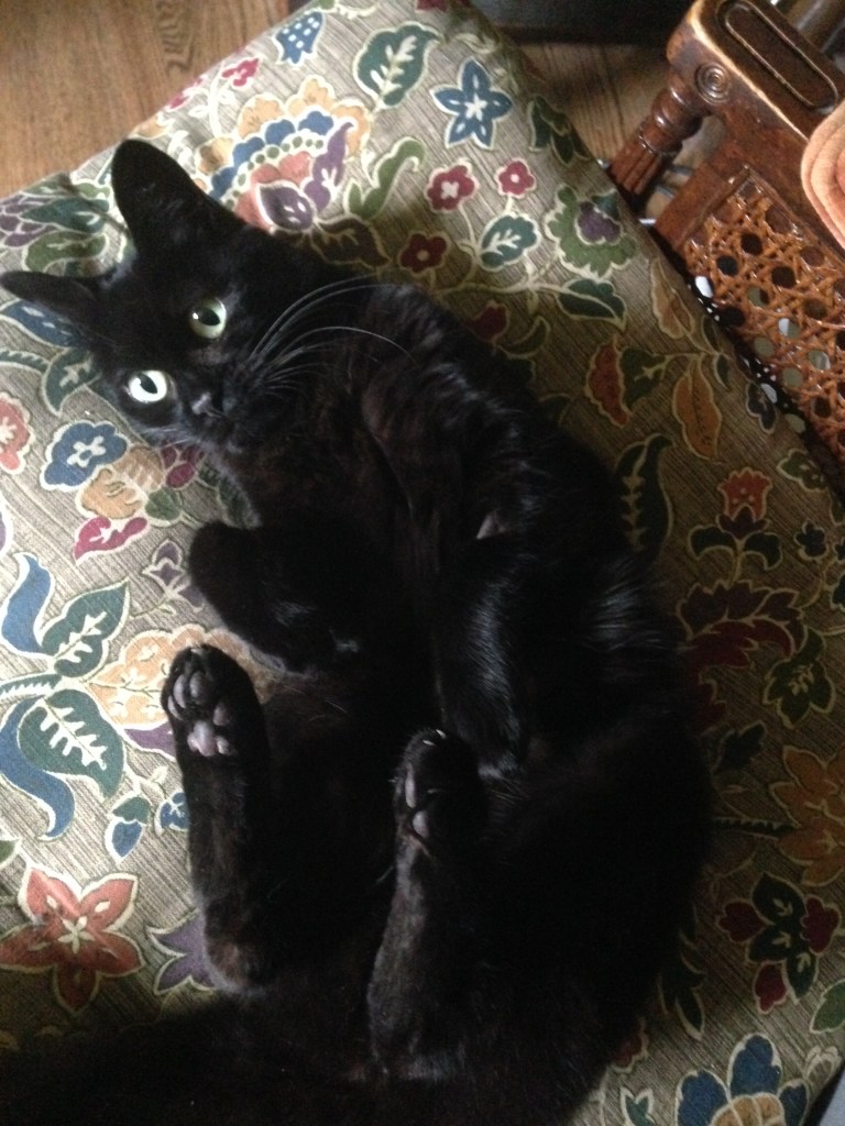 Alice Strange a.k.a Little Kitty a.k.a. Goblin a.k.a Eyeballs being super cute. A black cat on her back showing off her toe beans. Literally looks like something out of Ghibli. 